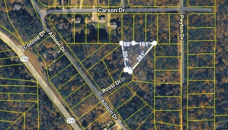 Great opportunity to own a .69 acre lot. Rossi Drive access and - photo 2