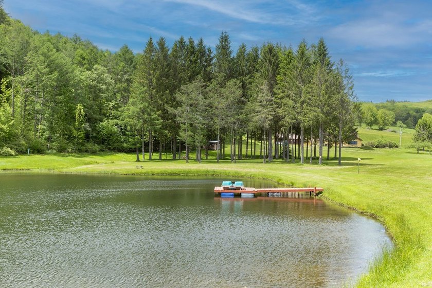 Perched high with breathtaking long-range views, this immaculate - photo 13