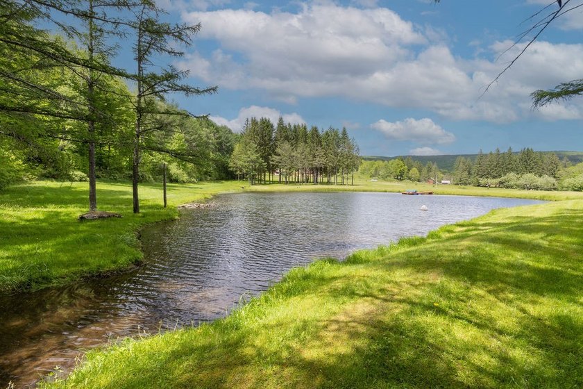 Perched high with breathtaking long-range views, this immaculate - photo 14