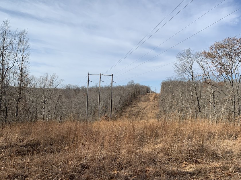Here is a good laying 40 acre tract in Camden County not far - photo 8