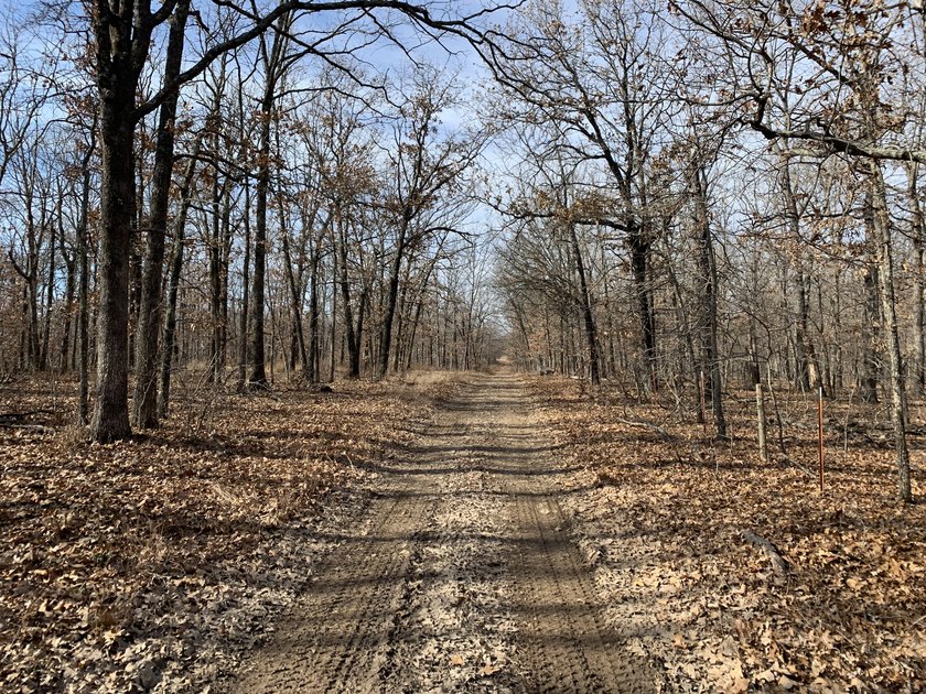 Here is a good laying 40 acre tract in Camden County not far - photo 9