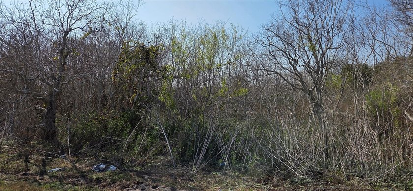 Escape to this stunning wooded 2.66 acre tract where country - photo 3