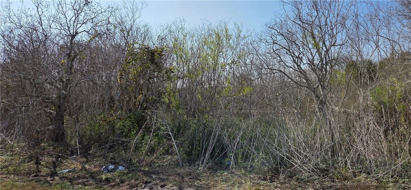 Escape to this stunning wooded 2.66 acre tract where country - photo 4