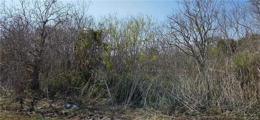 Escape to this stunning wooded 2.66 acre tract where country - photo 5
