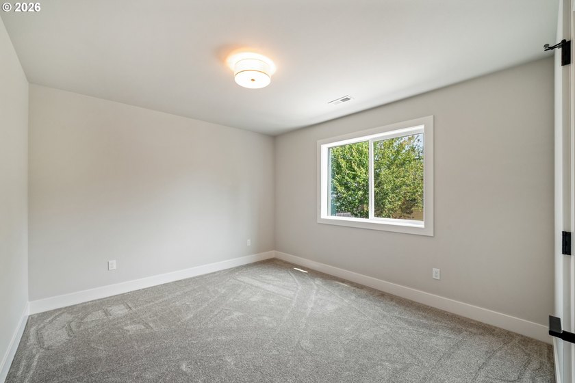 Beautiful new Traditional home backing to serene greenspace - photo 20