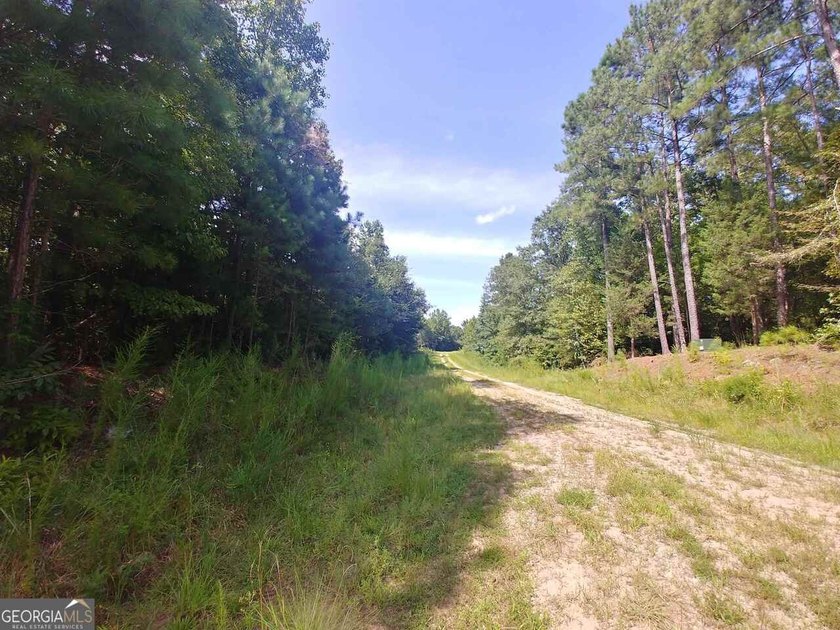 Beautiful wooded lot in the Patriots Point community. Gentle - photo 7