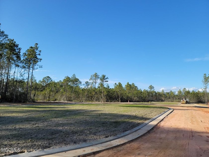 Welcome to the newest neighborhood on ''The Island'' Brookestone - photo 4