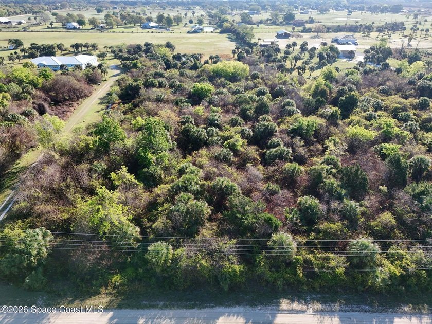 2.5 Acres of Peaceful Country Living - 6215 Dixie Way, Mims If - photo 3