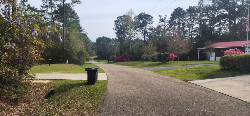 This lot is located only 800 ft to the Dogwood Lakes Golf Course - photo 3