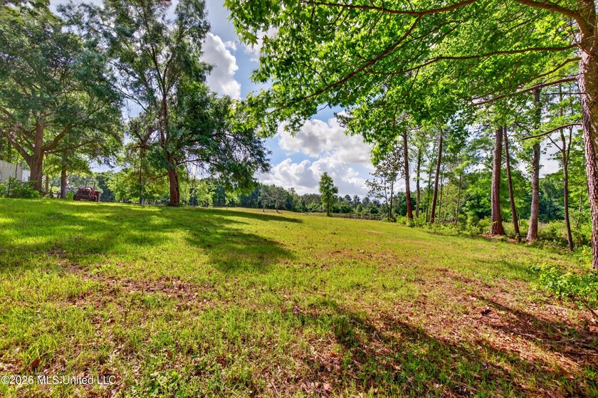 PRICED UNDER APPRAISAL VALUE - DON'T MISS THIS INCREDIBLE - photo 46