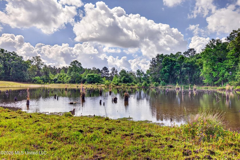 PRICED UNDER APPRAISAL VALUE - DON'T MISS THIS INCREDIBLE - photo 49