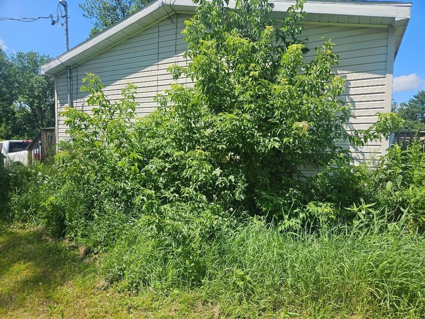 3 bedroom 2 bath home in a nice location, Home needs some work - photo 3