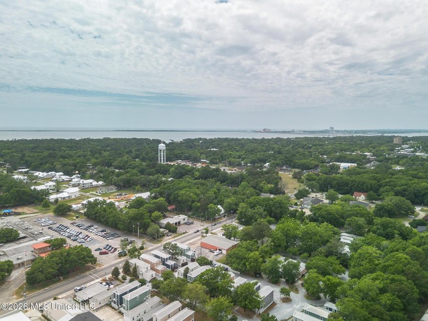 This is your chance to own a home in one of the nicest, walkable - photo 22
