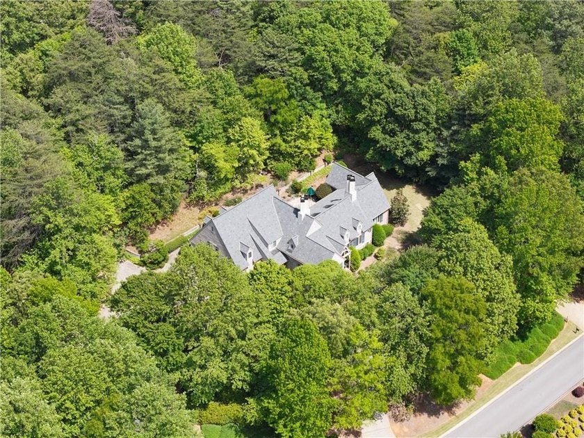 Elegant 4BD, 4.2BA Custom Lake and Mountain View Home in The - photo 4