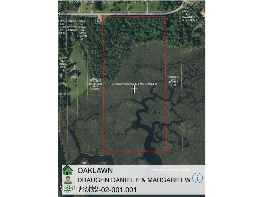 6+ Acres with Breathtaking Big Lake Views - Reduced Price! - photo 13