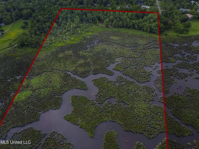 6+ Acres with Breathtaking Big Lake Views - Reduced Price! - photo 15
