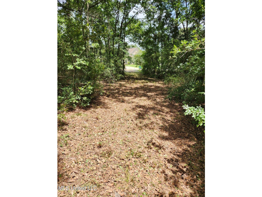 6+ Acres with Breathtaking Big Lake Views - Reduced Price! - photo 16