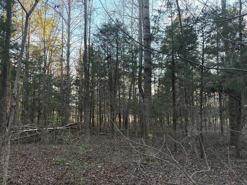 Opportunity awaits in Boydton, VA! This 8+ acre property, zoned - photo 4
