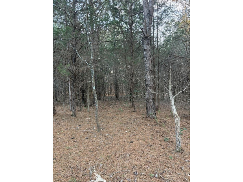 Opportunity awaits in Boydton, VA! This 8+ acre property, zoned - photo 5