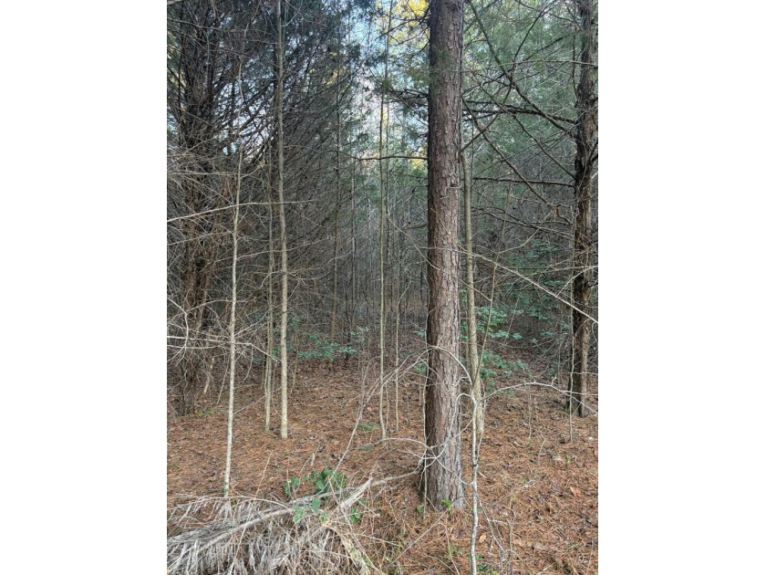 Opportunity awaits in Boydton, VA! This 8+ acre property, zoned - photo 6