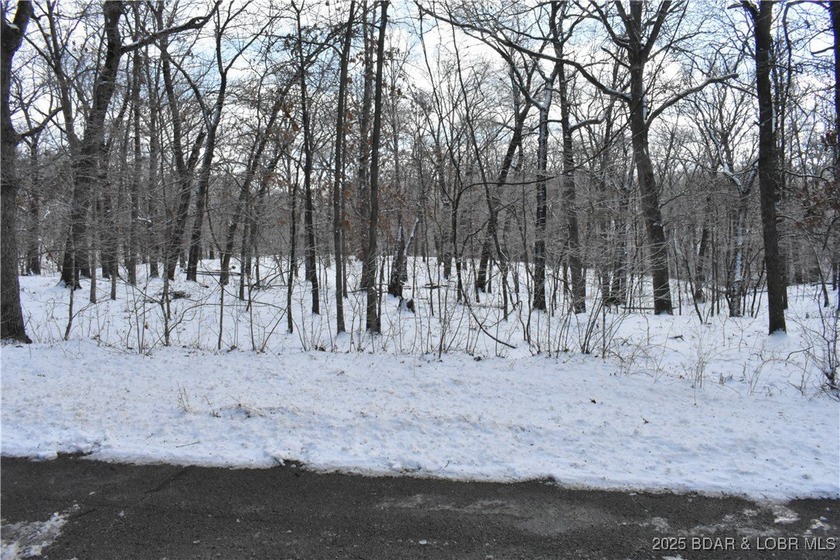 8 Acres of Opportunity in Camden County!Discover your dream - photo 4