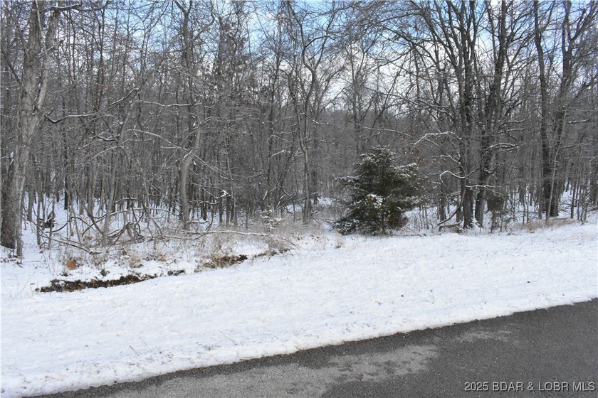 8 Acres of Opportunity in Camden County!Discover your dream - photo 7