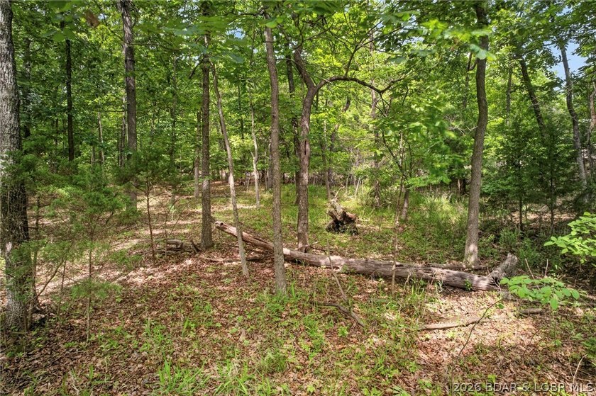 Gorgeous end-of-cul-de-sac lot perfectly positioned on the 3rd - photo 20