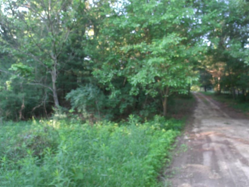 Buffalo Lake Area - Nicely wooded and secluded location off - photo 2