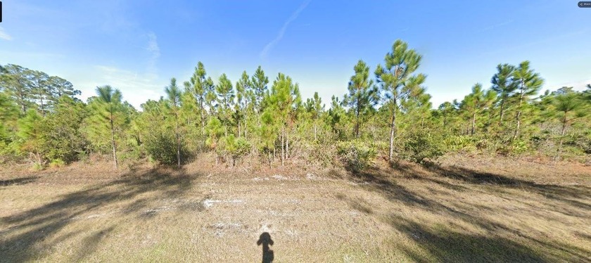 This 0.50-acre vacant  lot on Calendula Drive , Florida - photo 2