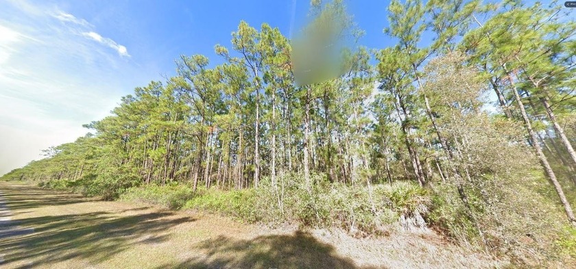 This 0.50-acre vacant  lot on Belmonte Drive, Florida, *Zoning: - photo 2