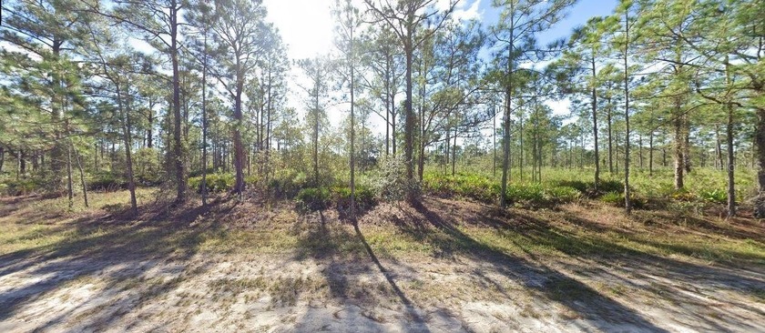 This 0.50-acre vacant  lot at 703 Alba Drive , Florida, *Zoning: - photo 2