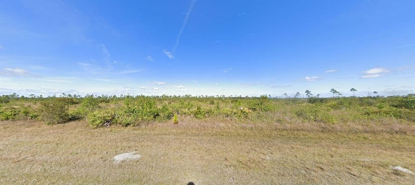 This 0.50-acre vacant  lot at 306 Calendula Drive , Florida - photo 2