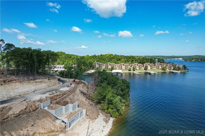 Be one of the first to buy your new lot at one of the Ozarks - photo 2
