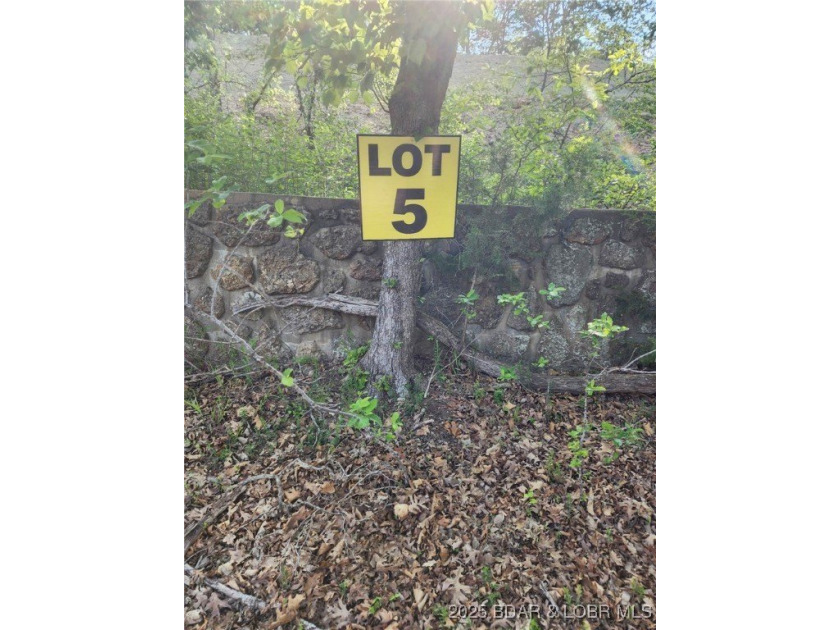 Be one of the first to buy your new lot at one of the Ozarks - photo 3