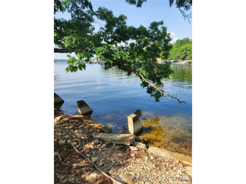 Be one of the first to buy your new lot at one of the Ozarks - photo 5