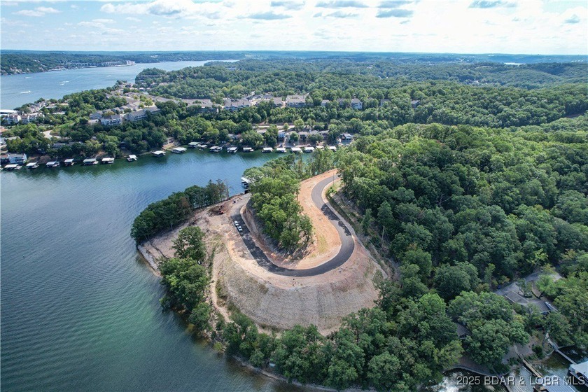 Be one of the first to buy your new lot at one of the Ozarks - photo 6