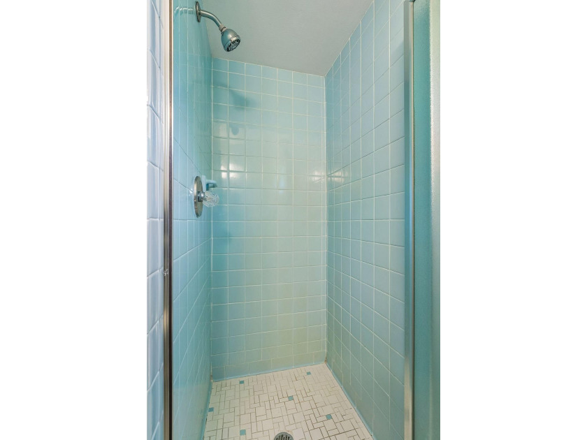 Built by its current owners in 1965, this one-owner home has - photo 33
