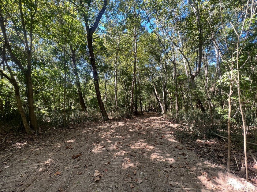 Welcome to the Tallahatchie 205! Located south of Charleston - photo 28