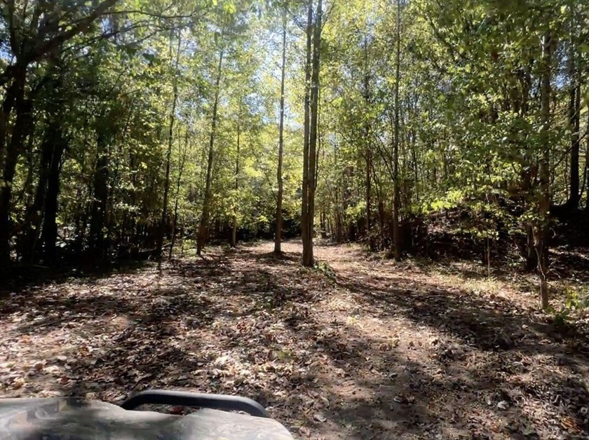 Welcome to the Tallahatchie 205! Located south of Charleston - photo 30