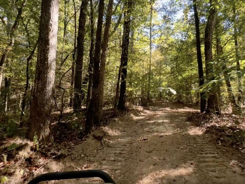 Welcome to the Tallahatchie 205! Located south of Charleston - photo 31