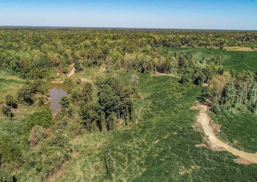 Welcome to the Tallahatchie 205! Located south of Charleston - photo 42