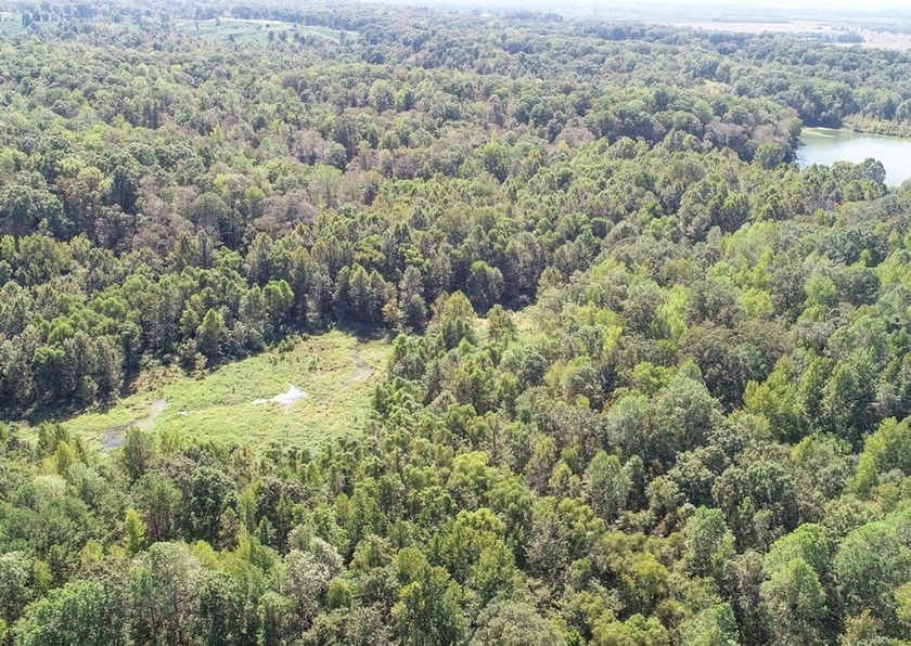 Welcome to the Tallahatchie 205! Located south of Charleston - photo 45