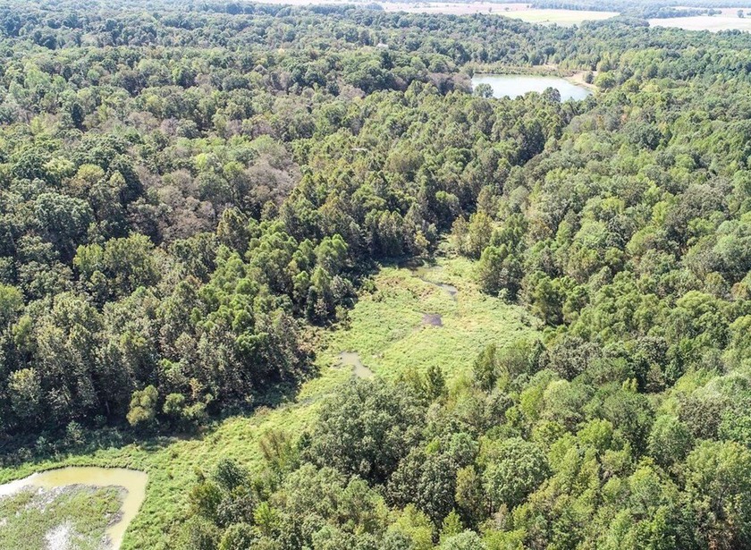 Welcome to the Tallahatchie 205! Located south of Charleston - photo 46