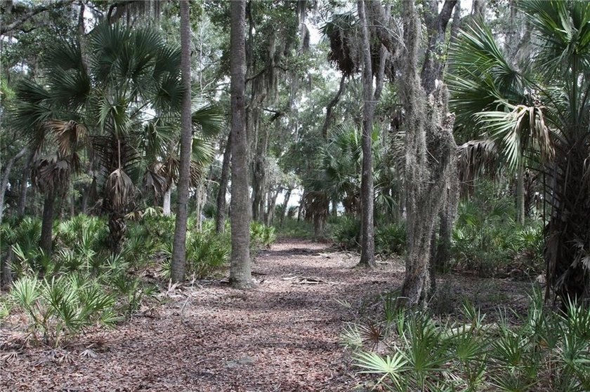 Rare Coastal Development Opportunity with River Access - 2,975 - photo 15