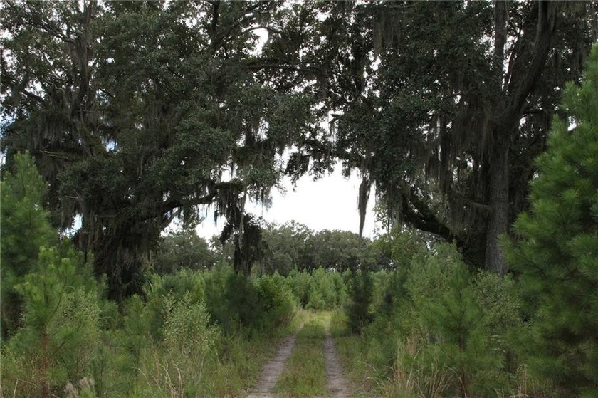 Rare Coastal Development Opportunity with River Access - 2,975 - photo 17