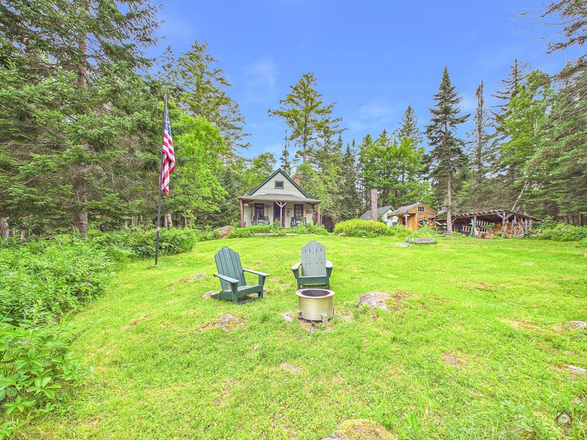 Take to the woods and experience a place unlike any other - photo 3