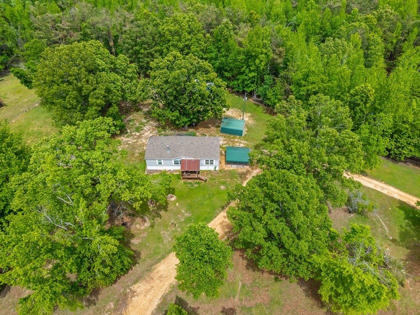 Well-maintained 3 bedroom, 2 bath mobile home on 74 acres. The - photo 42