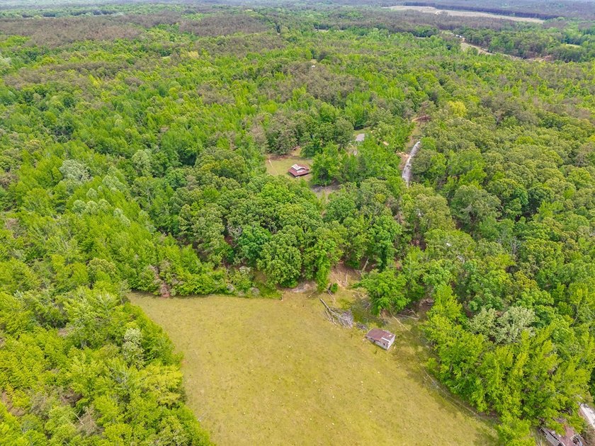 Well-maintained 3 bedroom, 2 bath mobile home on 74 acres. The - photo 48