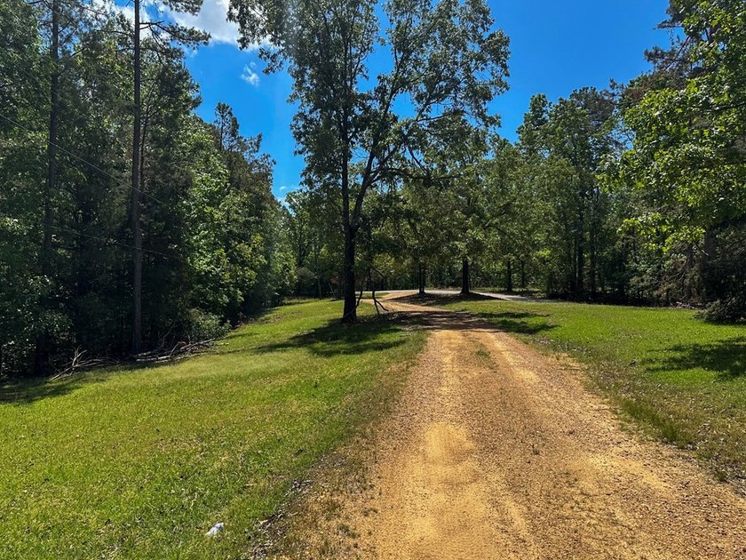 Well-maintained 3 bedroom, 2 bath mobile home on 74 acres. The - photo 50