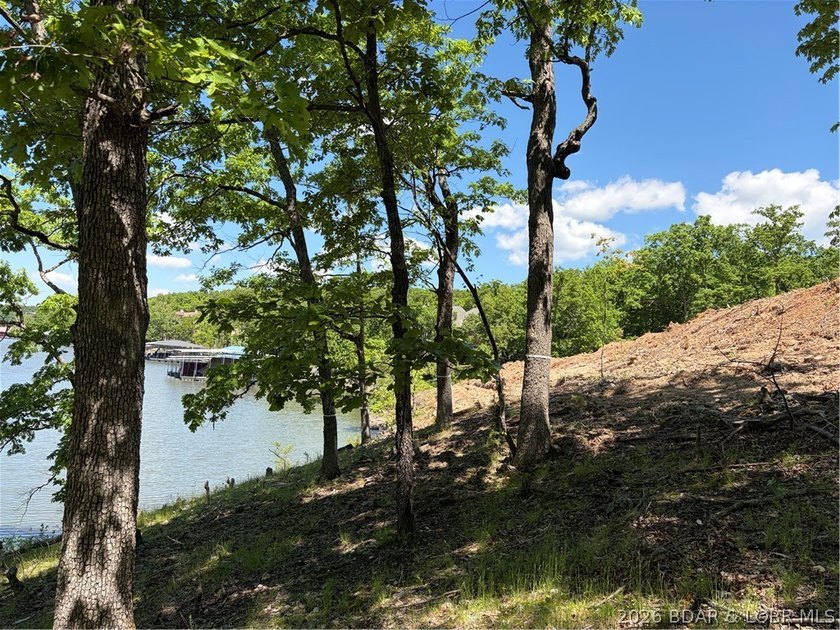 Discover the perfect setting for your dream lake home in the - photo 12